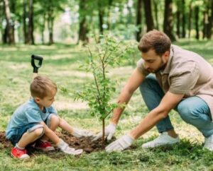 Обрезка плодовых деревьев: как правильно ухаживать за садом и не навредить растениям