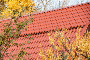 Как выбрать металлочерепицу для кровли? Характеристики и виды