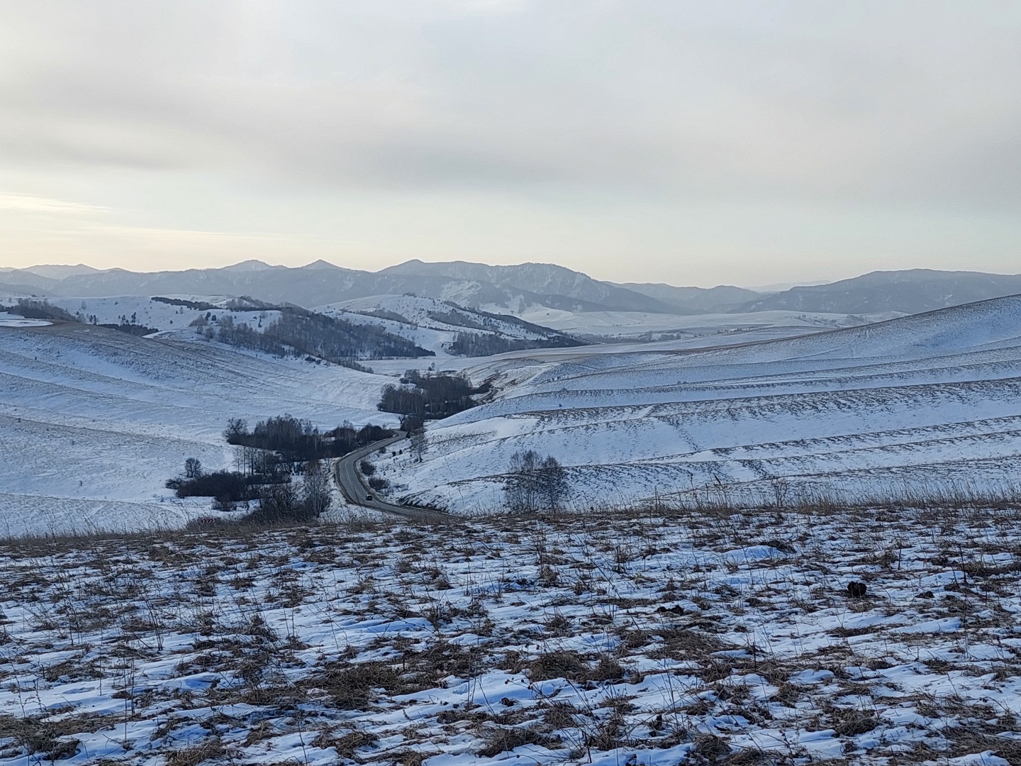 Новая дорога на озеро Ая и Бирюзовую Катунь — самая дорогая дорога Алтайского края — Телеканал «Моя Планета»