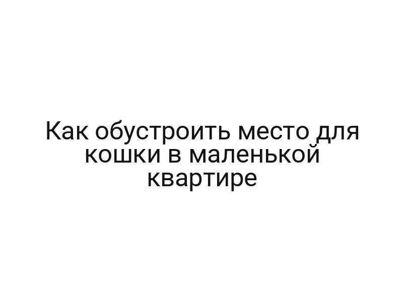 Как обустроить место для кошки в маленькой квартире