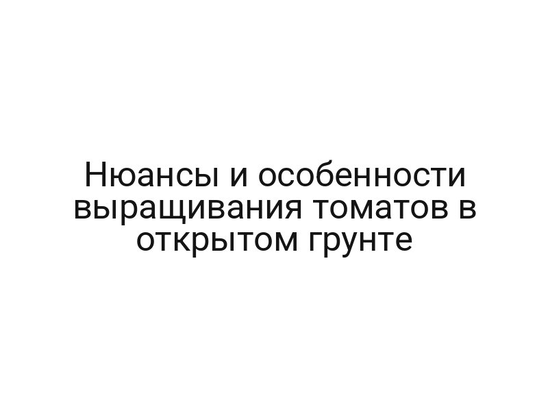 Нюансы и особенности выращивания томатов в открытом грунте